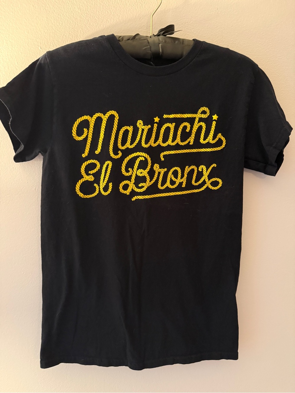 The Bronx band Mariachi el Bronx